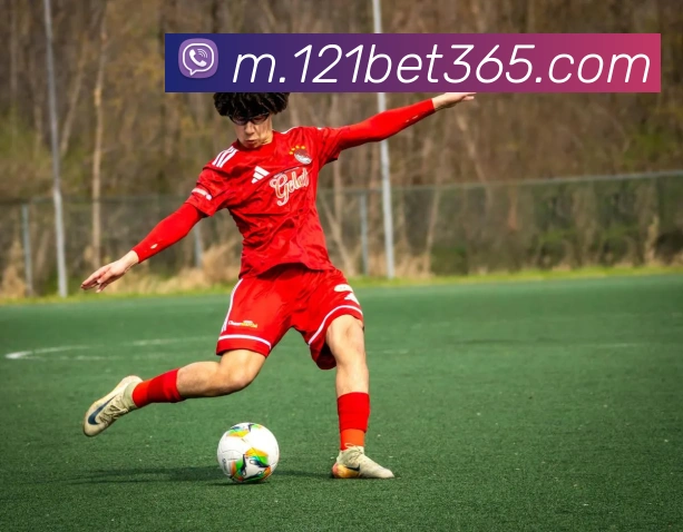 bet365中国官网服务体系